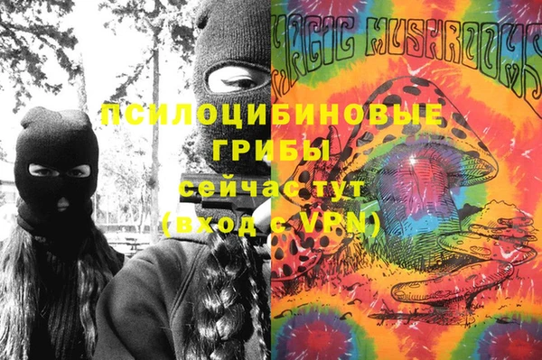 дмт Аркадак