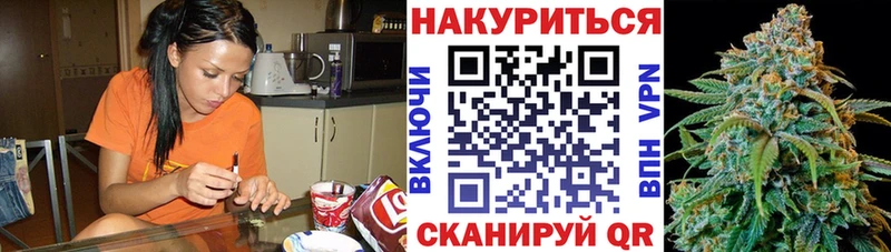 как найти наркотики  Ковылкино  hydra маркетплейс  Бошки Шишки Bruce Banner 